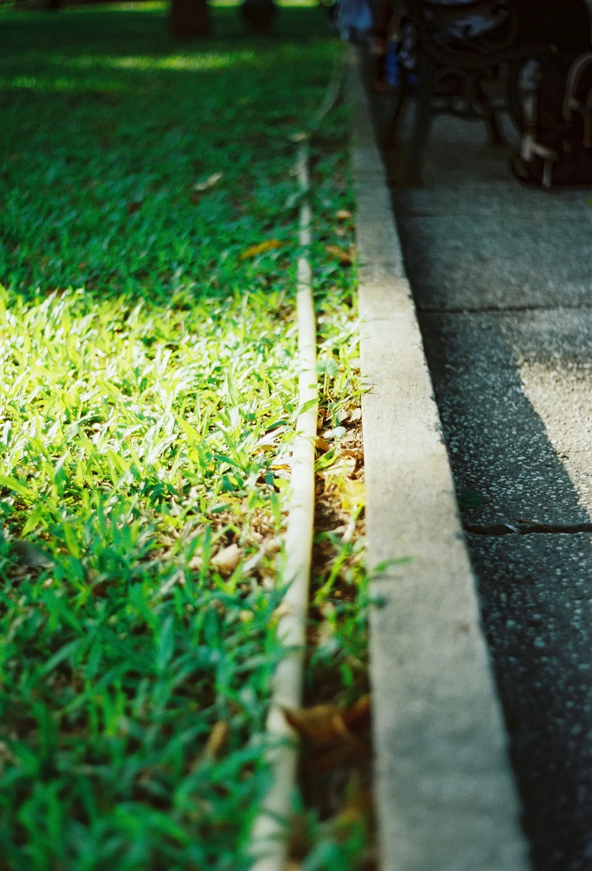 Clean grass edge along a curb.