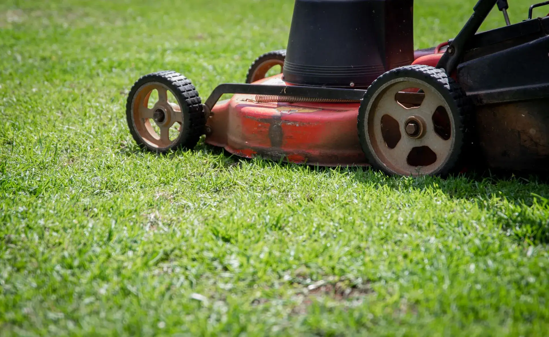 Walk-behind mower cutting green grass.