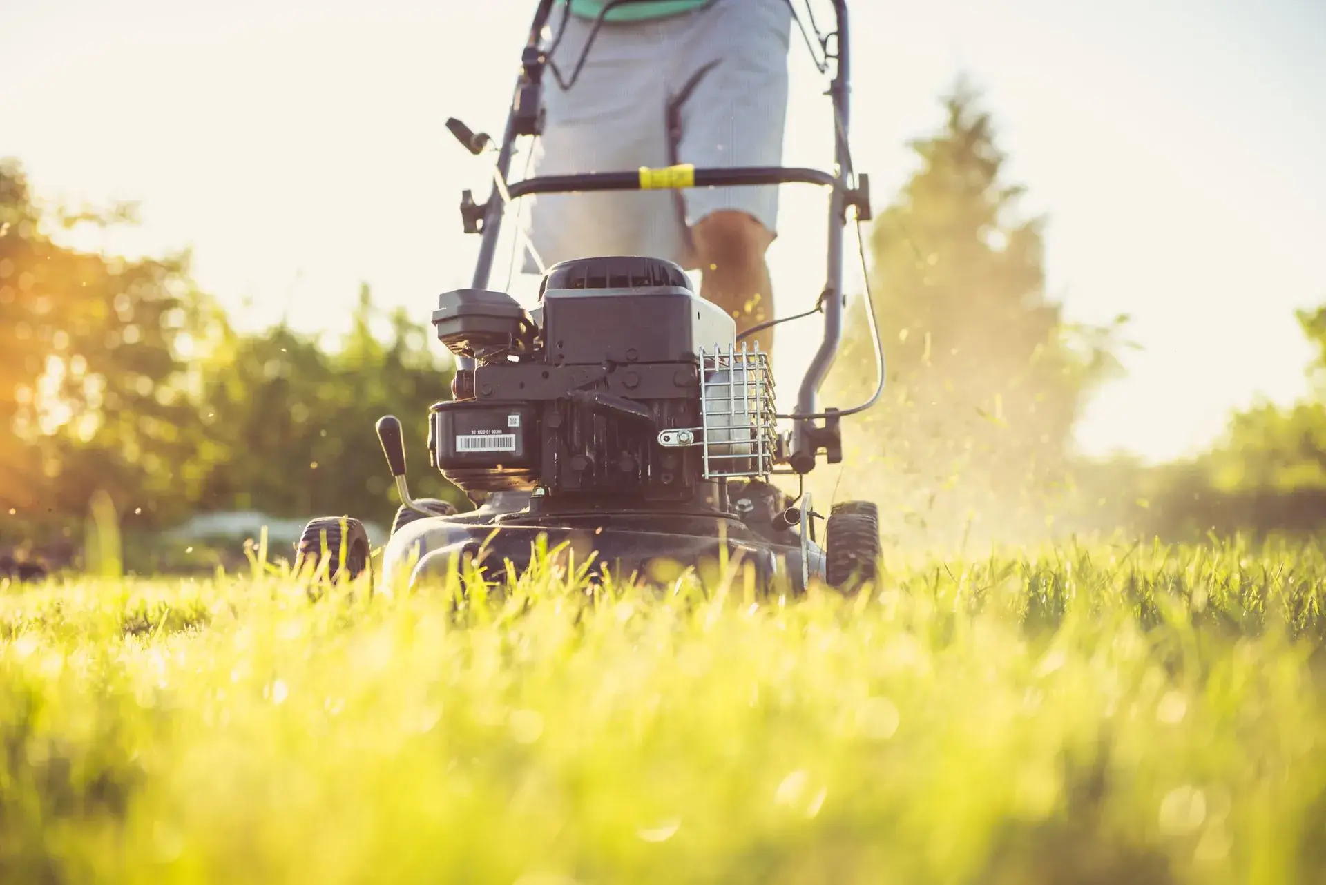 Lawn mowing in late afternoon light.