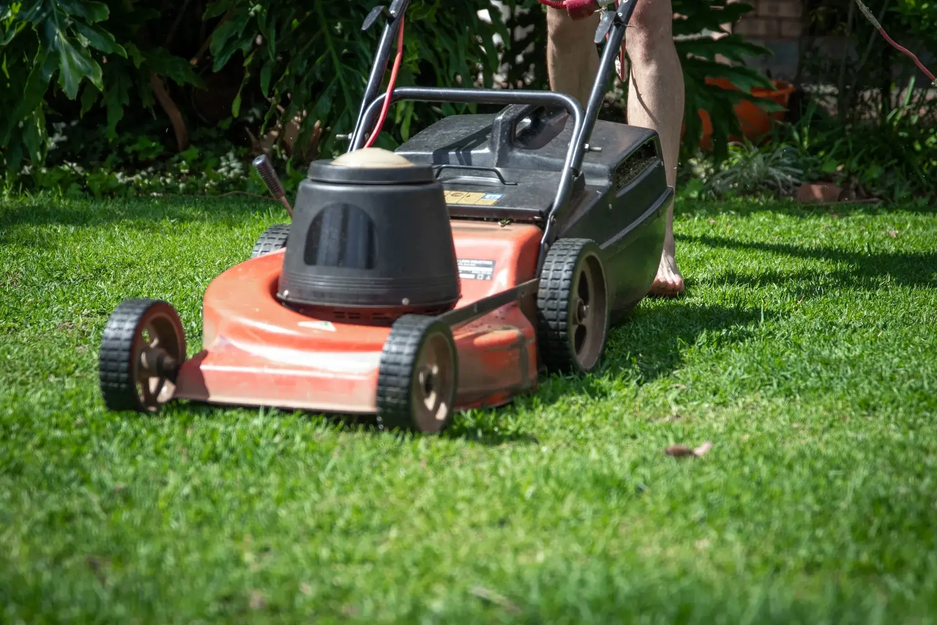 Lawn mower on freshly cut grass.