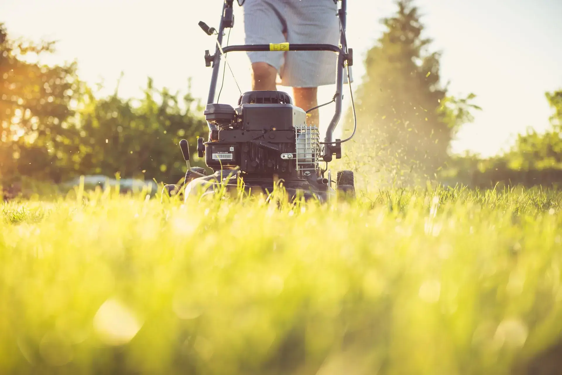 Walk-behind mower on a sunlit lawn.