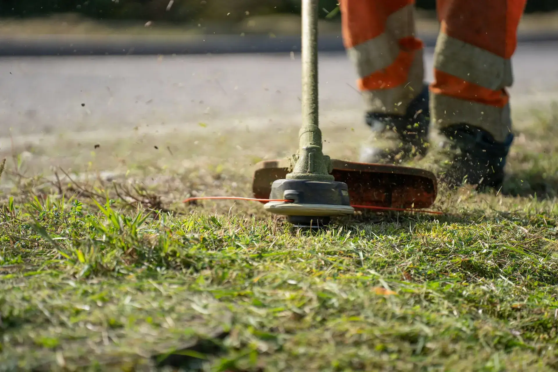 String trimmer cutting grass along an edge.