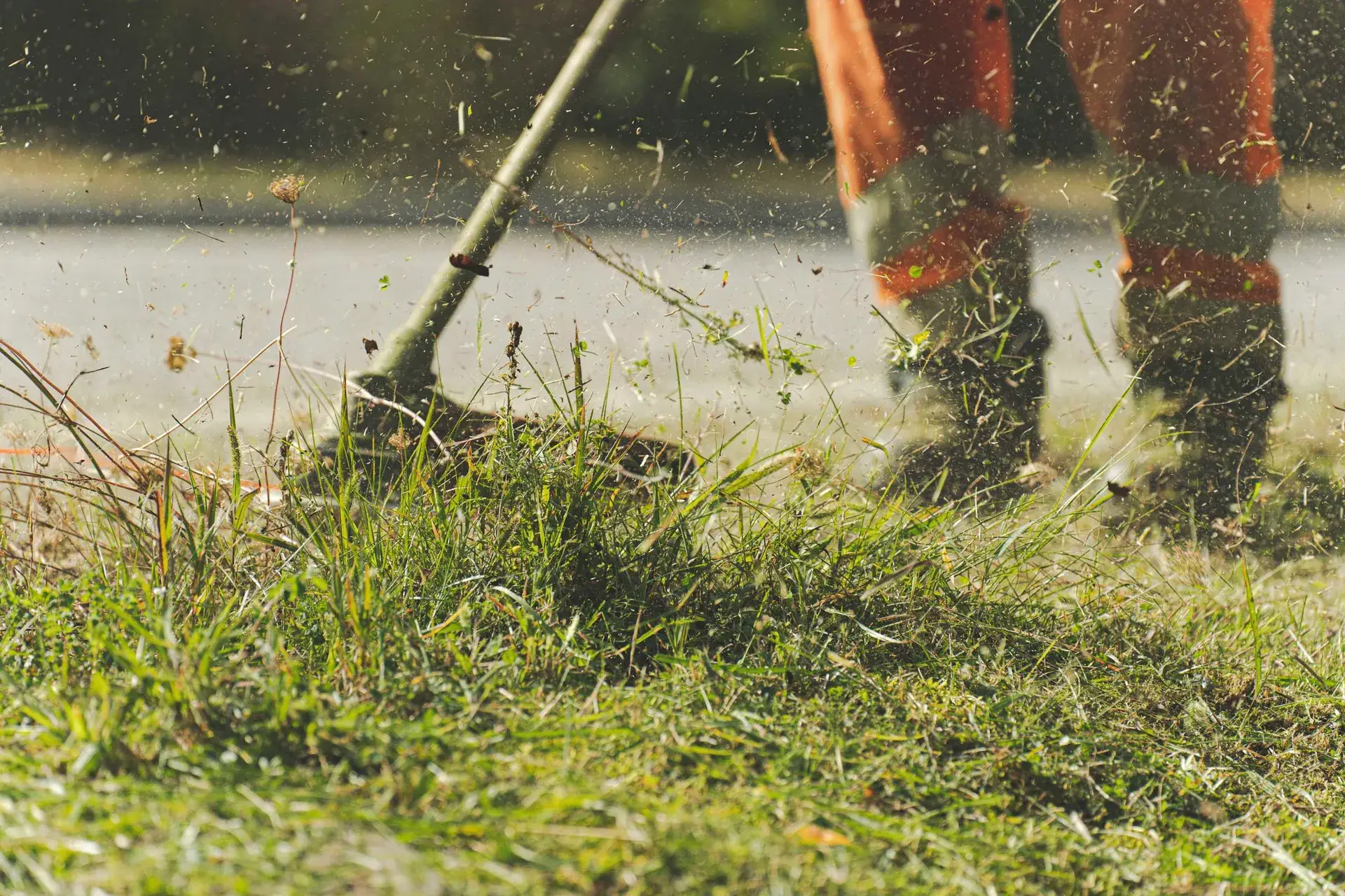 String trimmer clearing grass near a hard edge.
